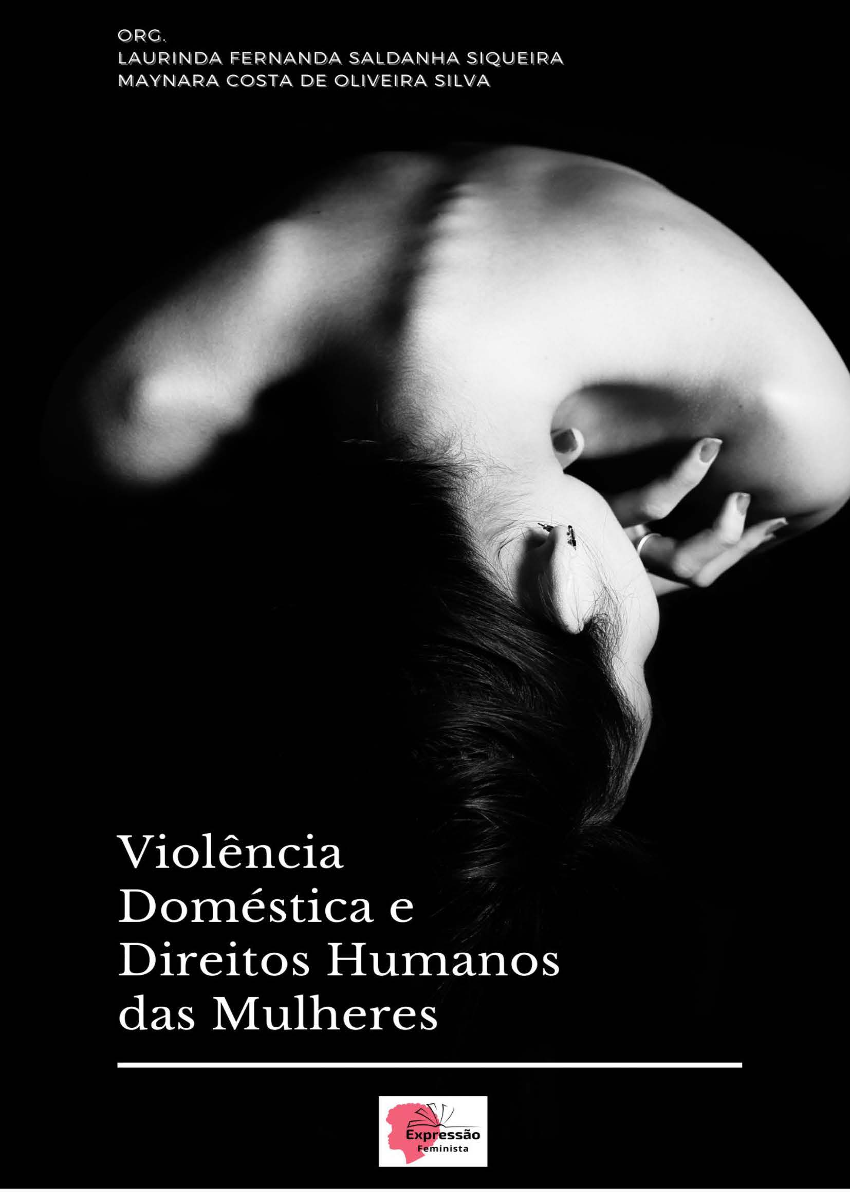 Violência Doméstica e Direitos Humanos das Mulheres